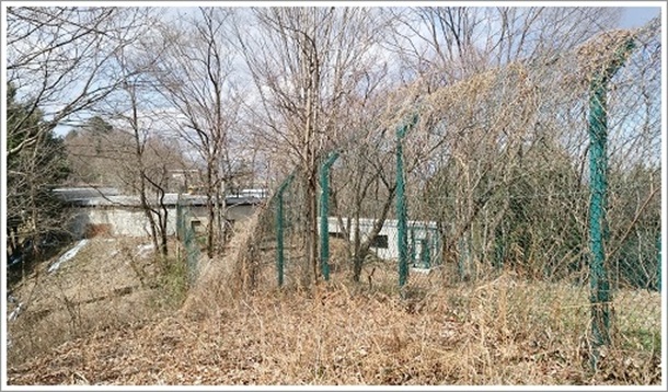 �S���t��ƌQ�n�T�t�@���p�[�N���אڂ��Ă�