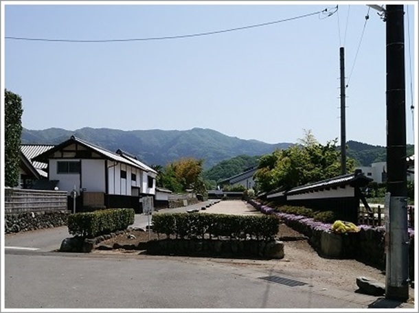 �����H�ƕ��Ɖ��~��