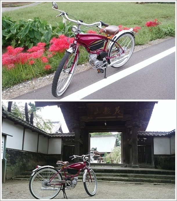 �쉈���ɍ炭�ފ݉ԂƎ��᎛�i�����񂶁j�̖�