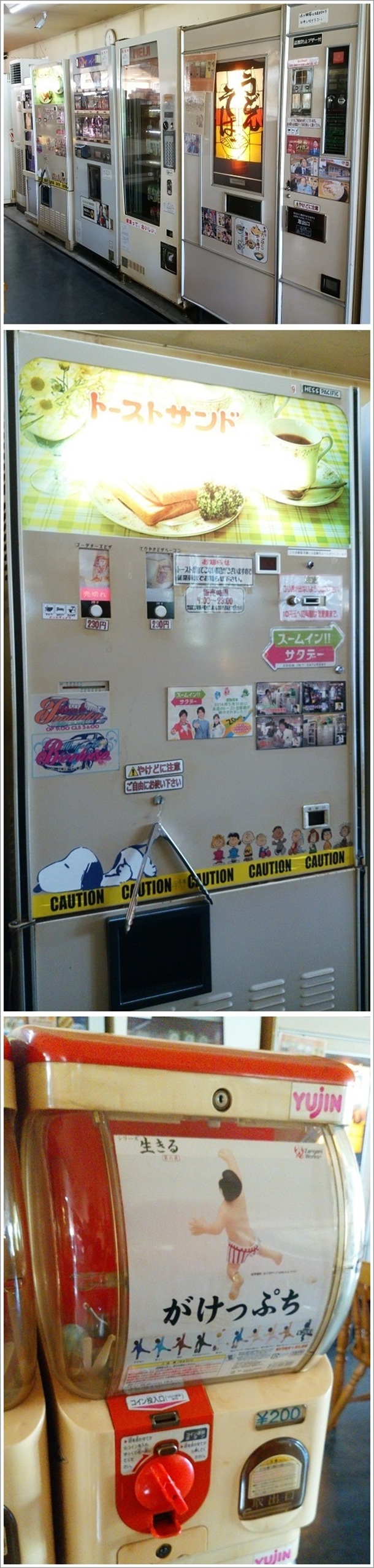 �Q�n�̃��g�����̋@�ƃK�`���K�`��