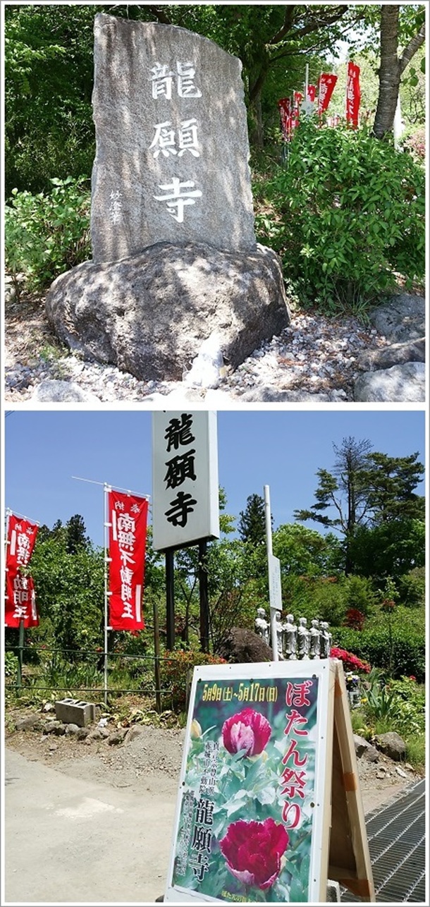 龍願寺(ぼたん祭り)入口