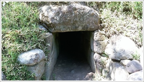 �Ύ������R��Õ�