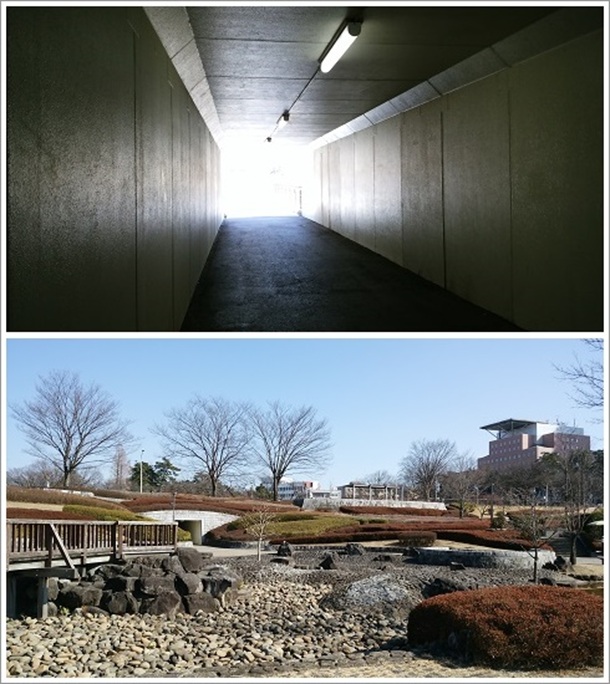 幸の池と親水・水上ステージゾーンを結ぶトンネル