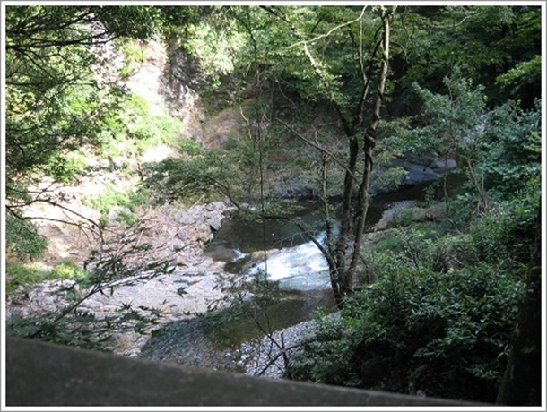 �Â��ɗ�����q��