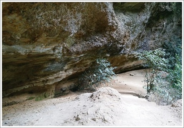 ��������l�B��ł�