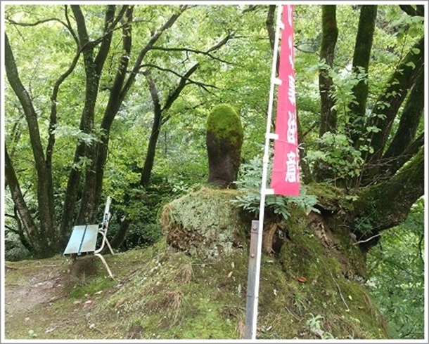 ��l�B������t�߂ł�