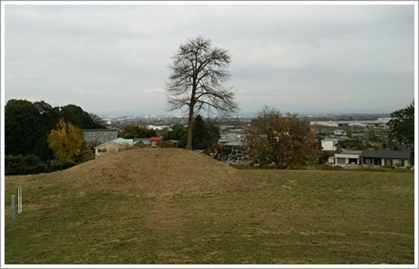 ����n��1���Õ��̃o�b�N�̌i�F