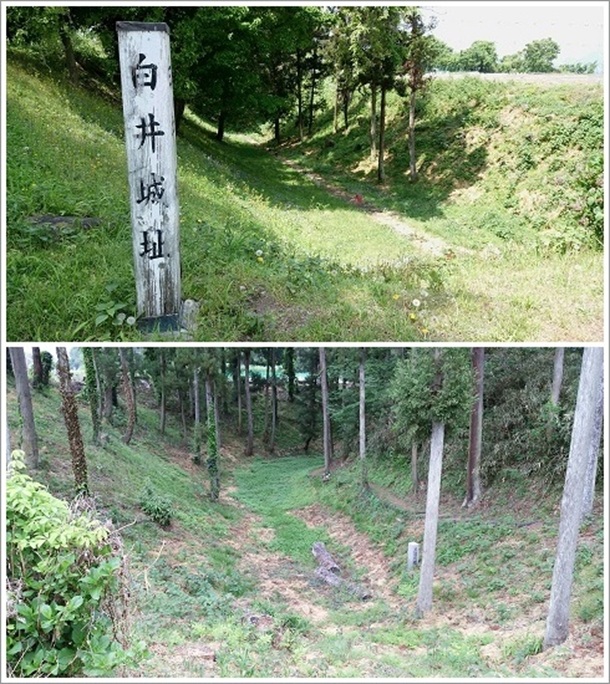 ����隬�ՂƖ{�ۂƖ{�ۂ��͂��x