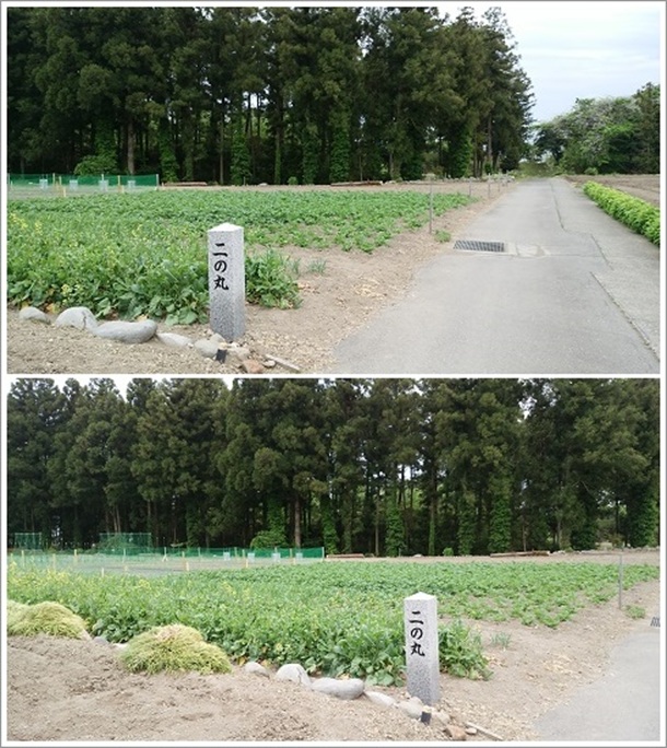 ����隬�Փ�̊�