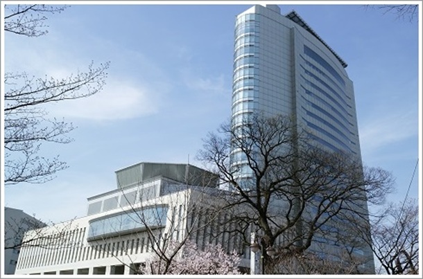 ����w�����猩������s����