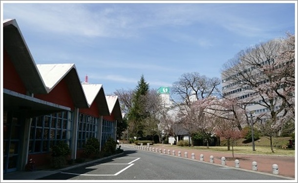 ����s�����̑O�ɂ��鉹�y�Z���^�[