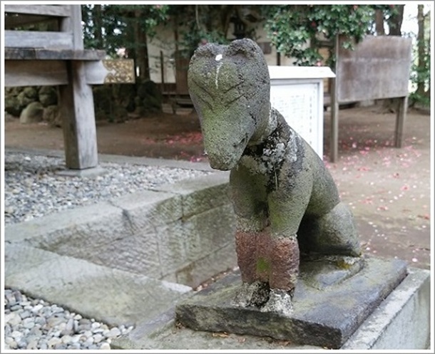 宿稲荷神社にいる愛嬌ある狐