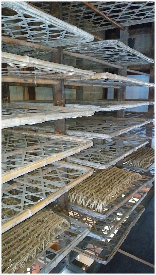 お蚕を飼っていた清温育