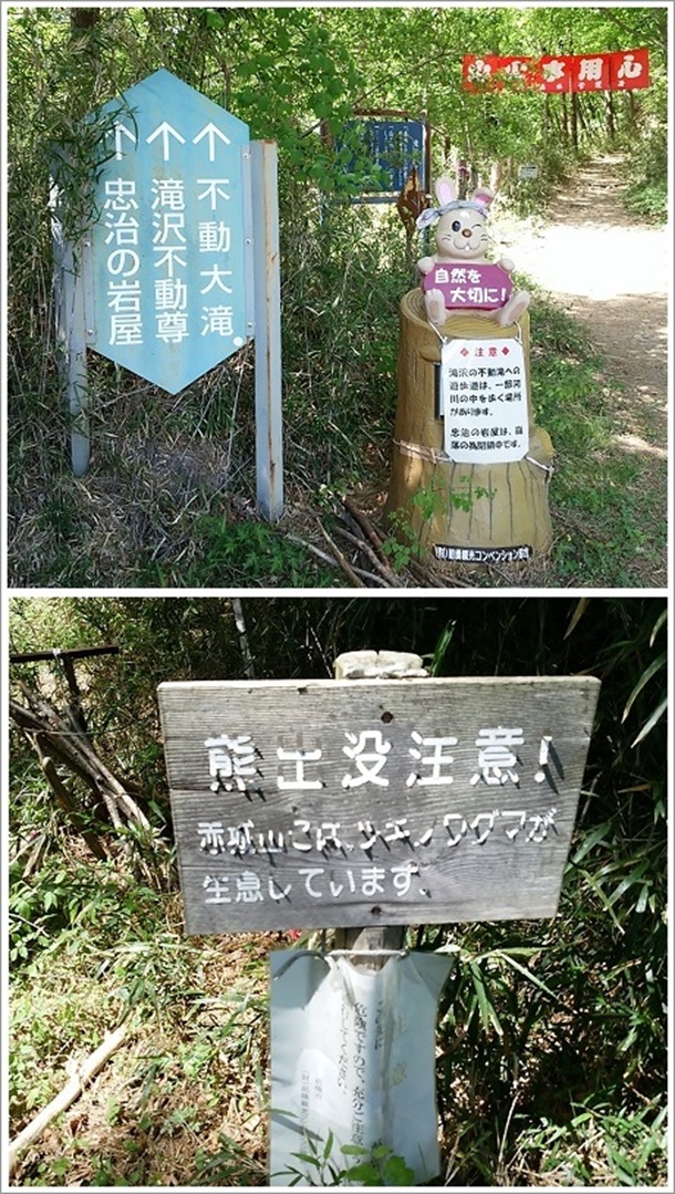 �F���o�v����I��������ďo���ł��i���̕s����j