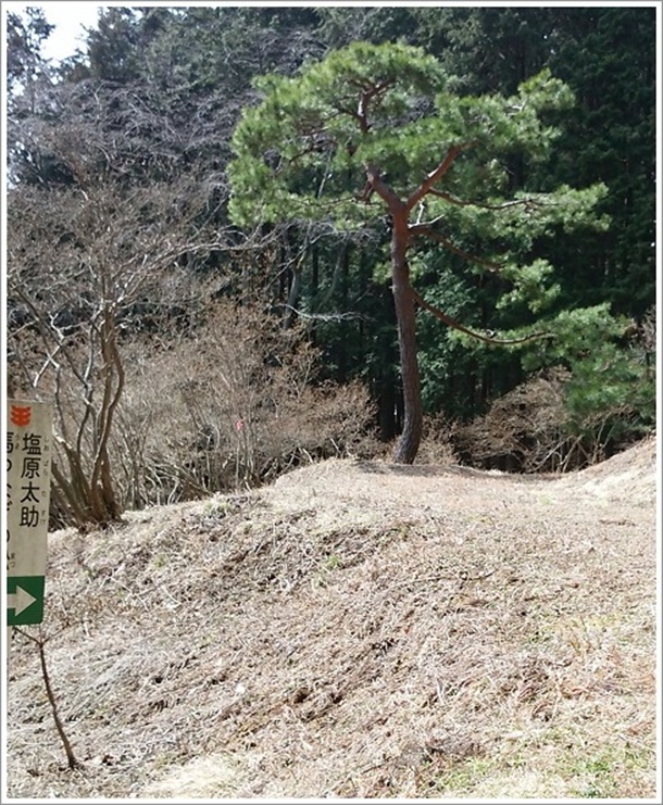 �Ԍ��R�������ɂ��鑾���]�˂ւ̕ʂ�n�Ȃ��̏�