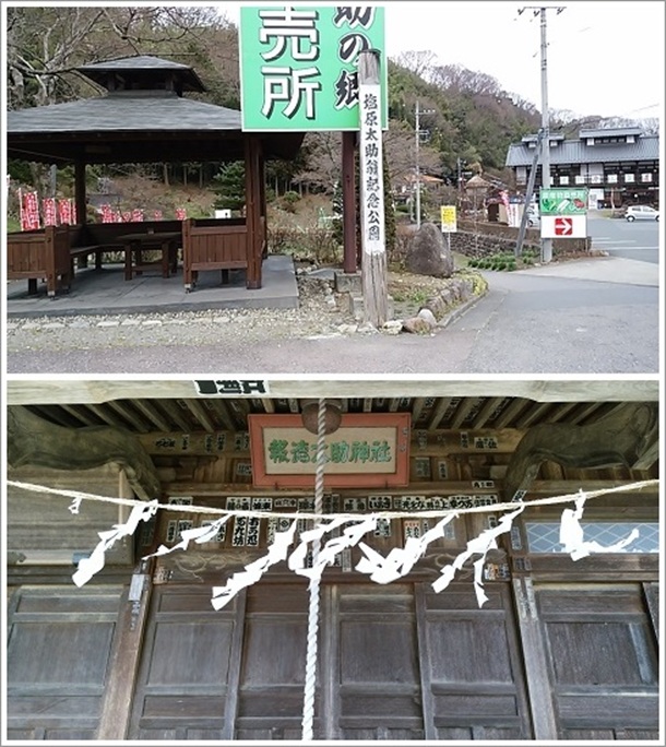 ���������L�O�����ɑ����_��