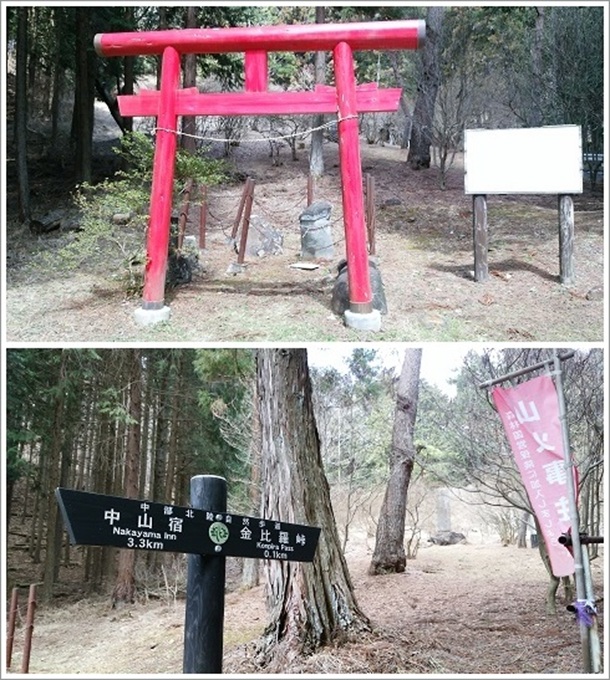 ���������n�Ȃ��̏��ƒ���