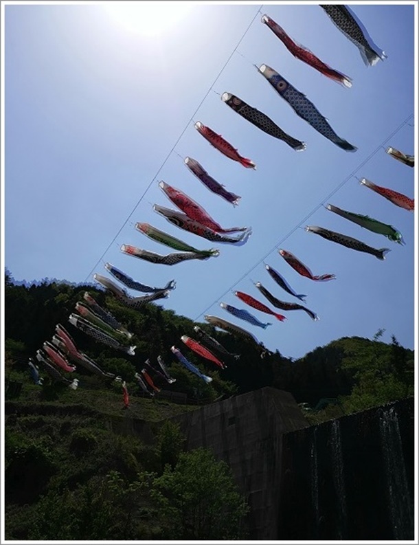 優雅に空を泳ぐこいのぼり群