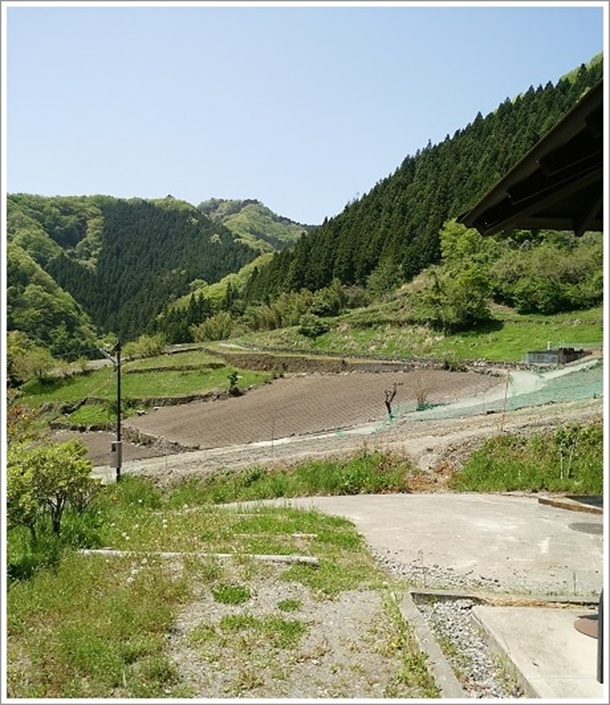 ちぃじがき蕎麦の里(蕎麦の花)