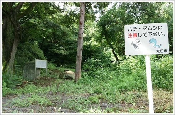 �n�`���}���V�ɒ��ӊŔi��������s�@�n���H��Ձj