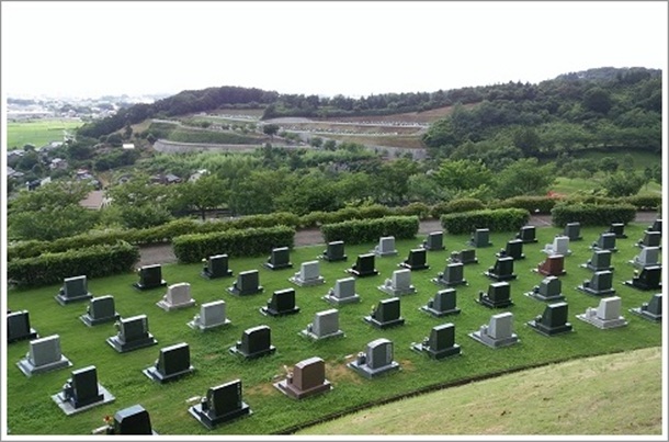 �����q�R������n