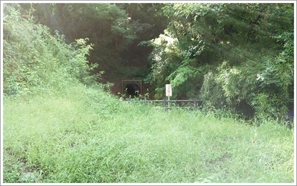 ��������s�@�n���H��Ղ�����