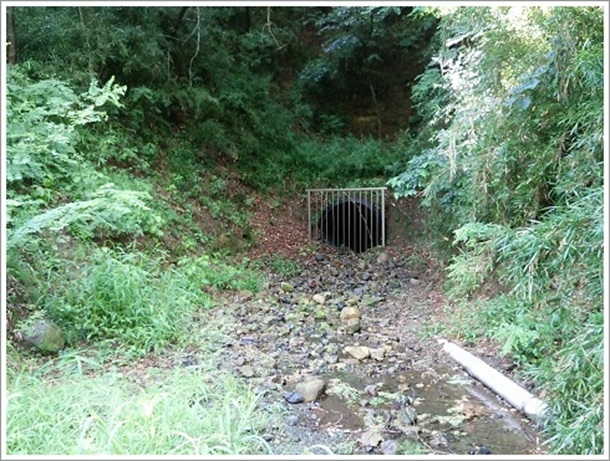 ��������s�@�n���H��Ճg���l��