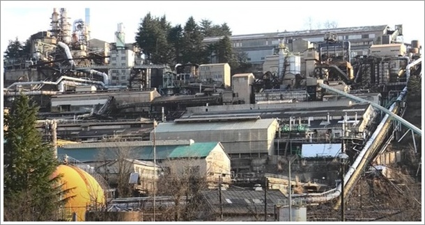 ���M�����i�������B���j