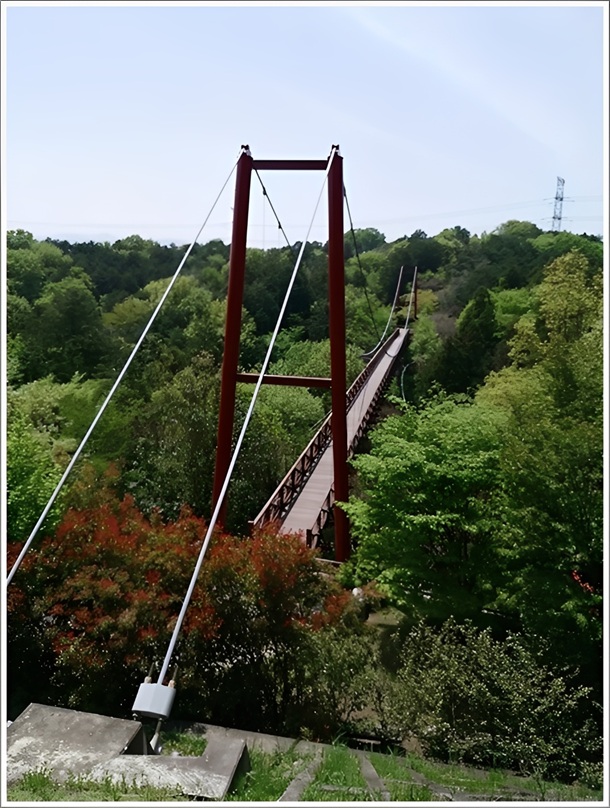 上から見たひびきばし