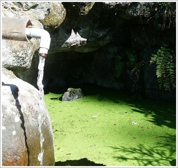 �����������r�̖�t���S��