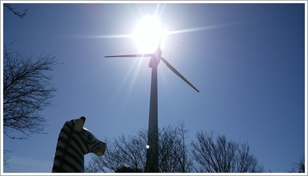 �������猩�グ���g�����͔��d��