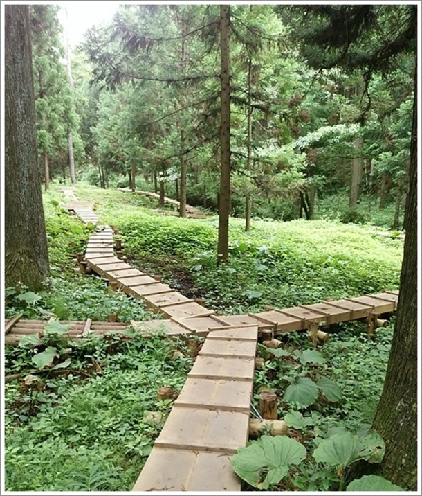 �U�[���\�E�Q���n�̗V����