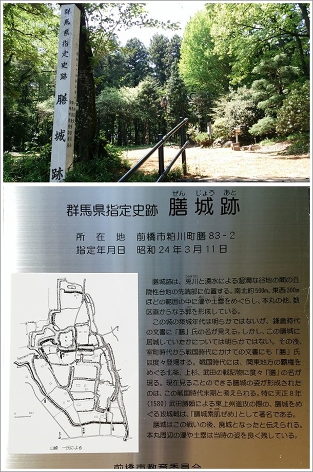 �Q�n���w��j�� �V���