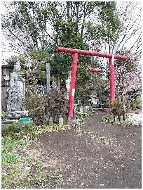 世にも不思議の木鳥居